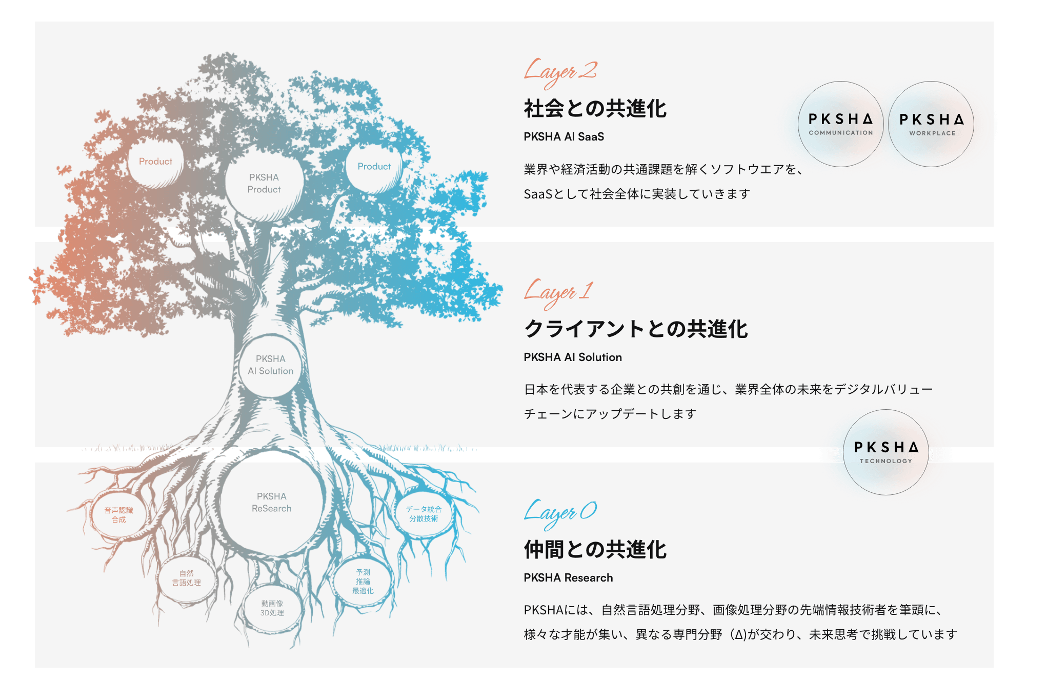 Layer2 社会との共進化 PKSHA AI SaaS Layer1 クライアントとの共進化 PKSHA AI Solution Layer0 仲間との共進化 PKSHA Research