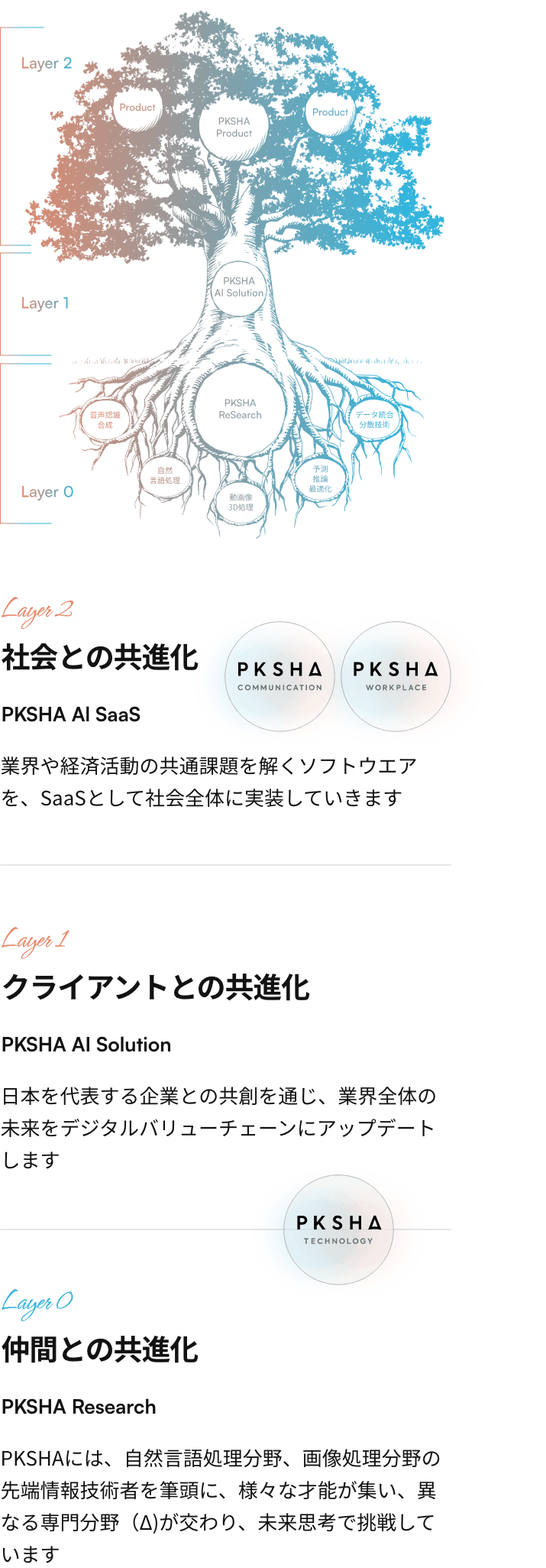 Layer2 社会との共進化 PKSHA AI SaaS Layer1 クライアントとの共進化 PKSHA AI Solution Layer0 仲間との共進化 PKSHA Research